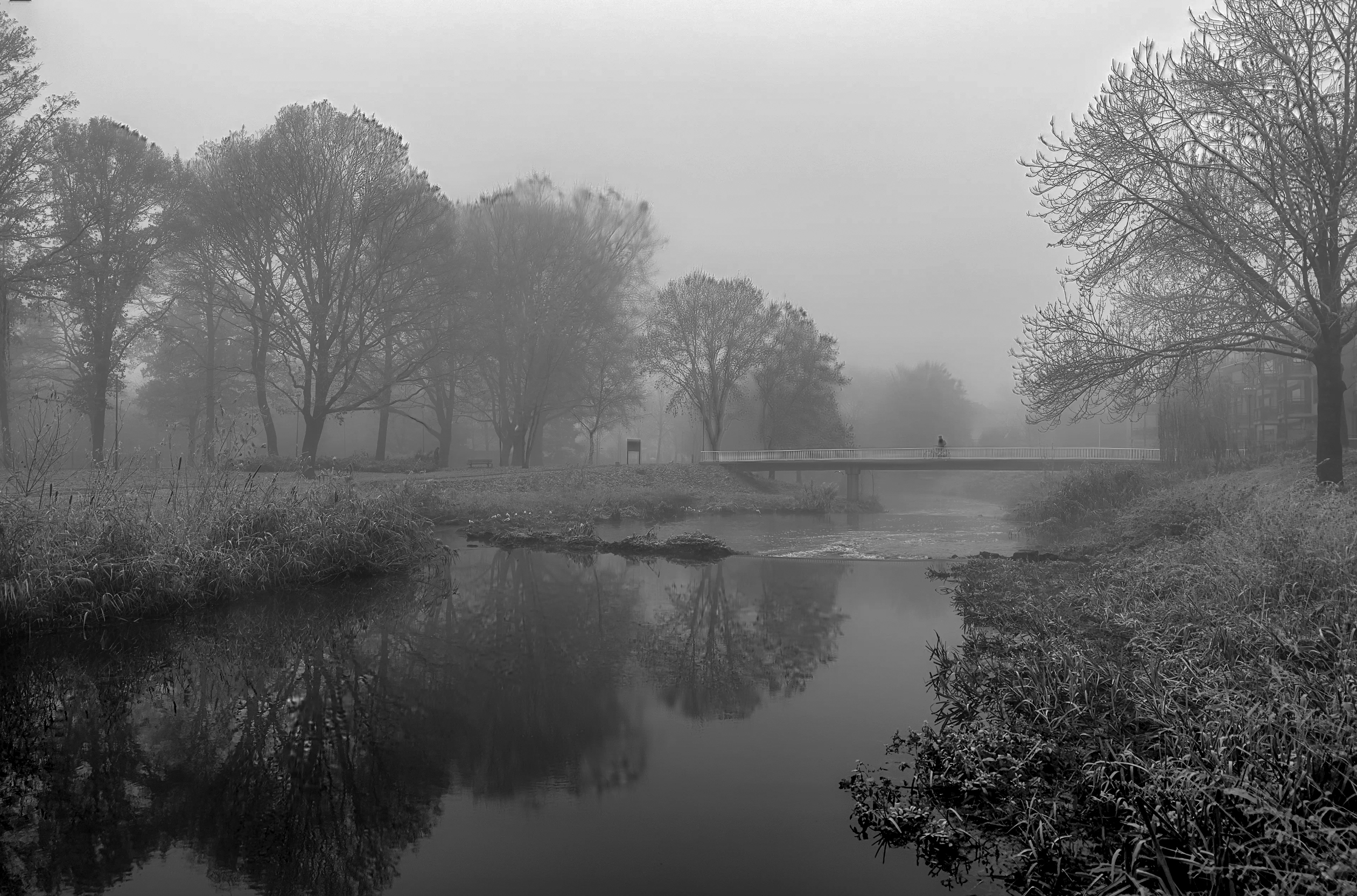 Fietser in de mist