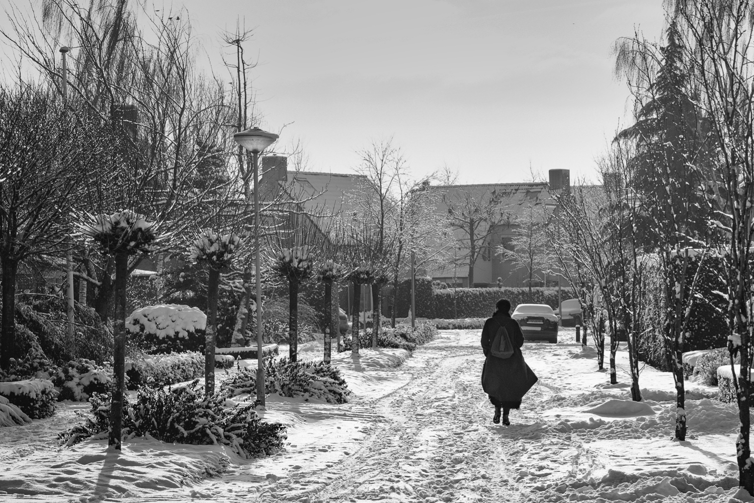 In de sneeuw
